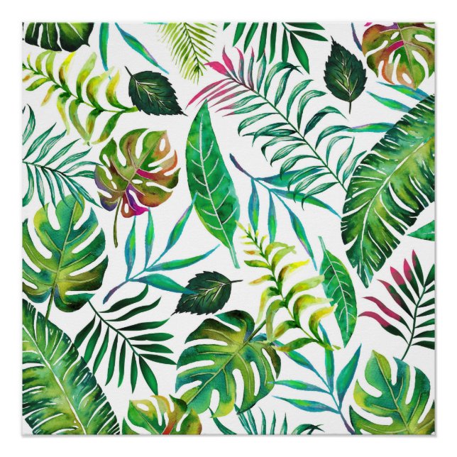 Pôster Flora Tropical (Frente)