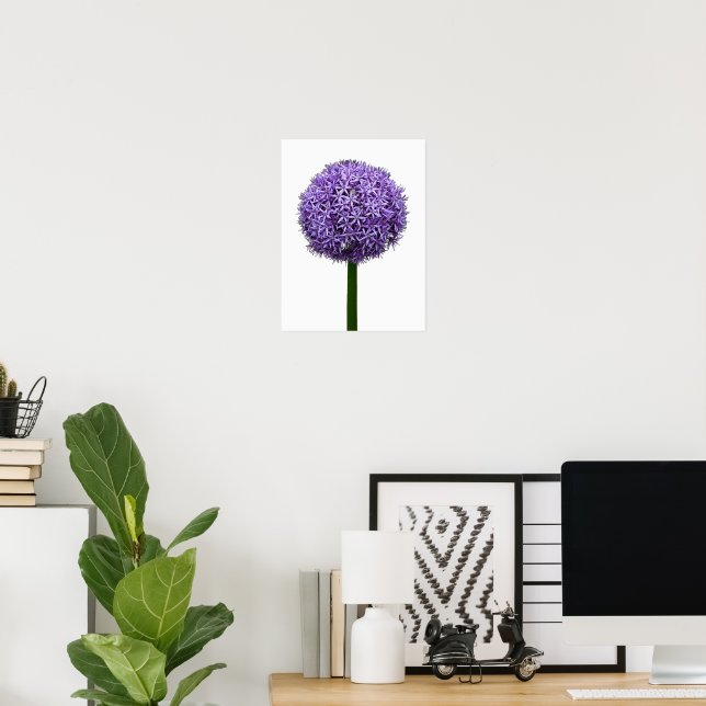 Poster Floração de Allium Roxo em Fundo Branco (Escritório em casa)