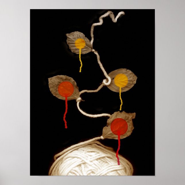 Poster floração de fios 2013 (Frente)