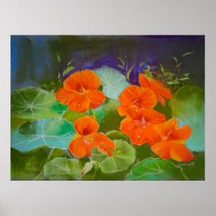 Poster Floração de Nastúrcio - Pastel Botânico