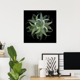 Poster Floração de Samambaia Fractal