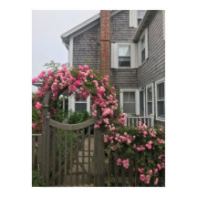 florais de nantucket