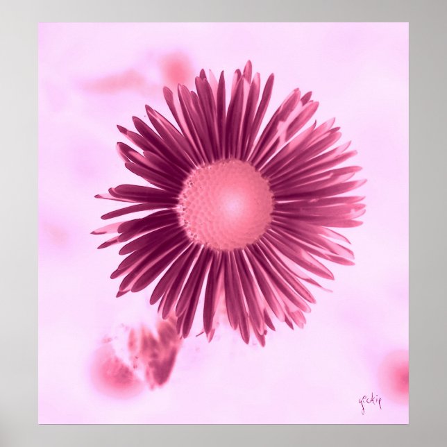 Poster floral (Frente)