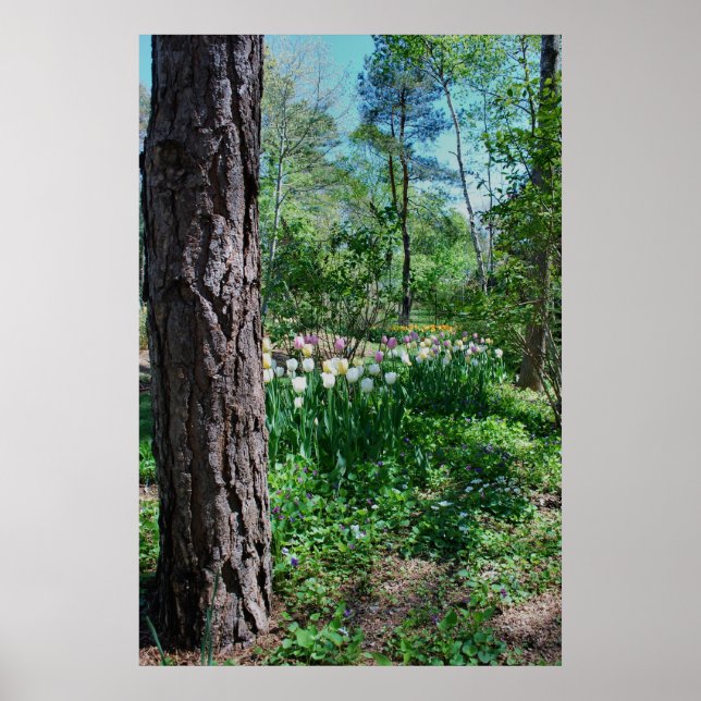 Poster floral - 1 (Frente)