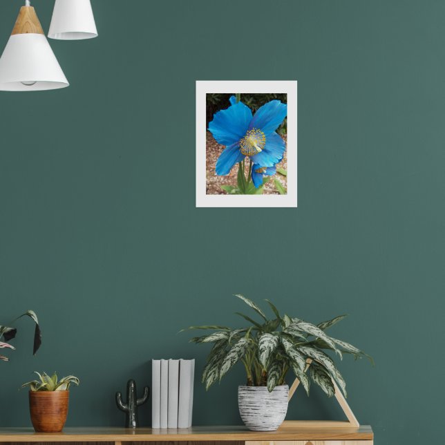 Poster Floral Azul de Himalaia (Sala de Estar 1)