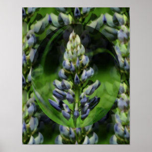 Poster floral da arte abstracta do Lupine bonito