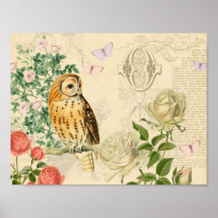 Poster floral da coruja do vintage com rosas
