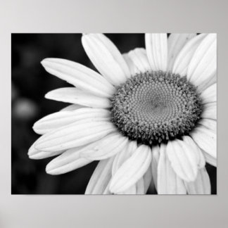 Pôster floral de fotografia branca e macronegra vibrante