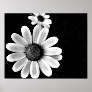 Poster floral de fotografia branca e macronegra vibrante