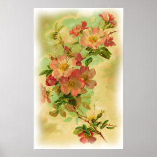 Poster floral do vintage