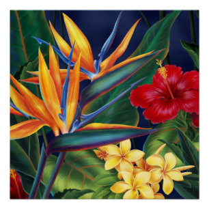 Pôster Floral havaiano do paraíso tropical