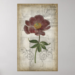 Pôster Floral I Francês