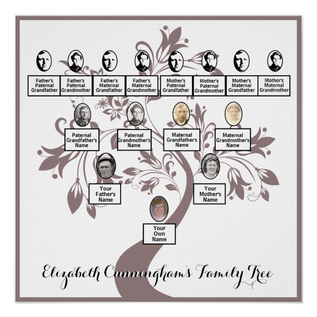 Pôster Floral Tree Plum Silhouette Family Tree Photos (Frente)