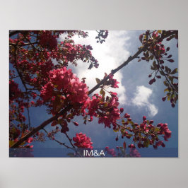 Poster Floral Vermelho Blossomas 2