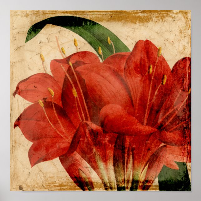 Pôster Floral VIII vibrante (Frente)