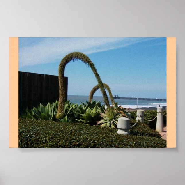 Pôster Floral Wonders (Frente)