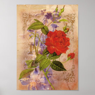 Pôster Florals Vintage Digital Collage