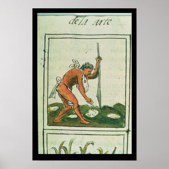 Pôster Florentine Codex" por Bernardino de Sahagun (Frente)