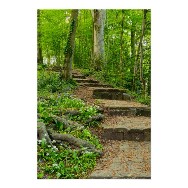 Pôster Flores (Frente)