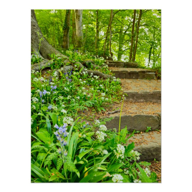 Pôster Flores (Frente)