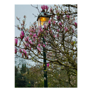 Pôster Flores