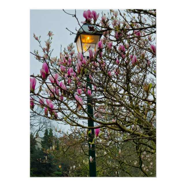 Pôster Flores (Frente)