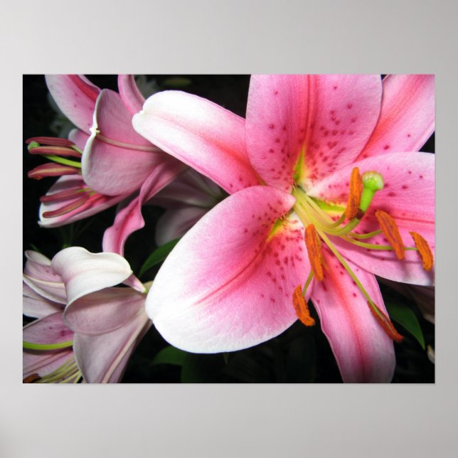 Poster Flores (Frente)