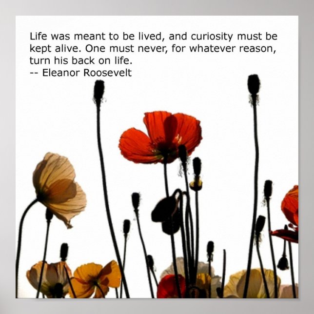 Pôster Flores (Frente)