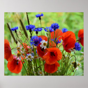 Poster Flores