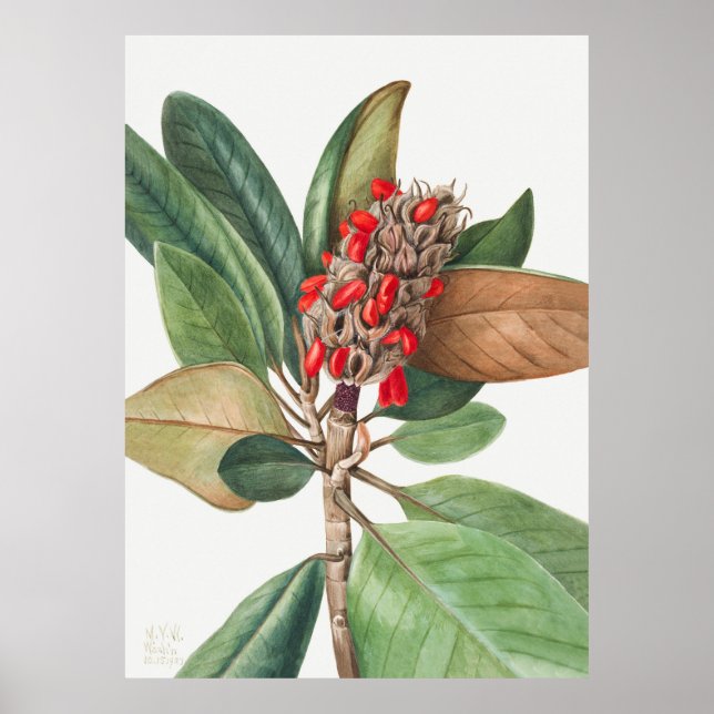 Poster Flores 2 (Frente)