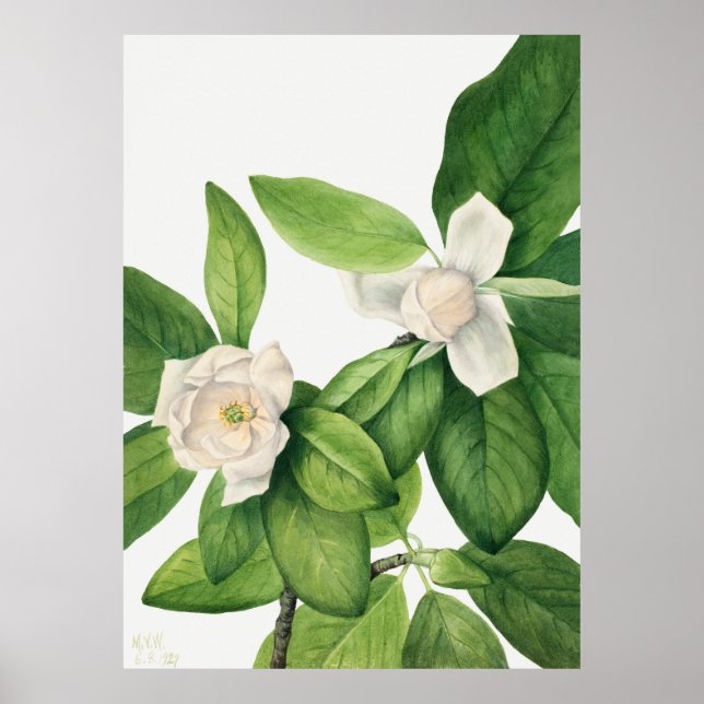 Poster Flores 3 (Frente)