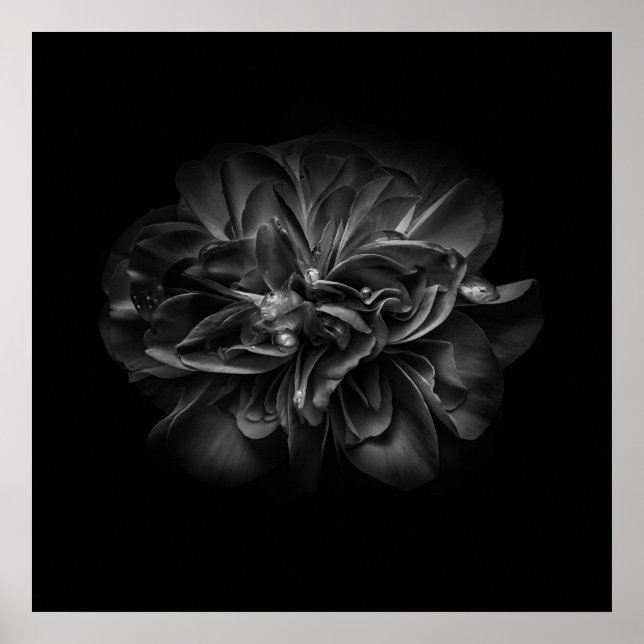 Poster Flores 67 BW (Frente)
