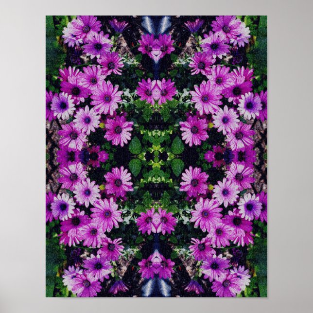 Poster Flores Africanas de Daisy Olham Abstrato (Frente)