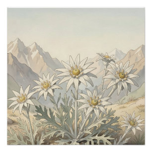 Pôster Flores Alpinas Edelweiss Paisagem Montanhosa
