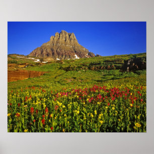 Pôster Flores alpinas na passagem Logan em Glacier