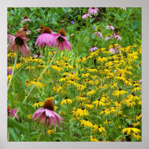 Poster Flores Amarelas e Púrpuras no Jardim