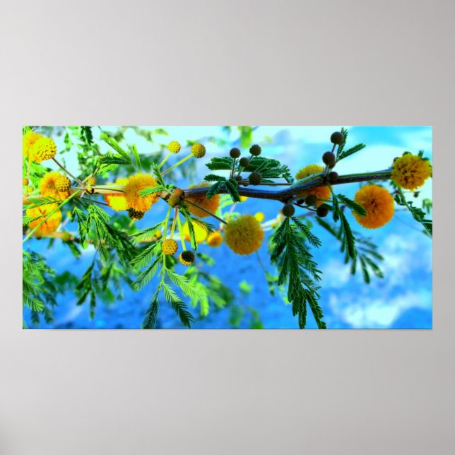 Poster Flores Amarelas em uma Ramificação de Árvore (Frente)