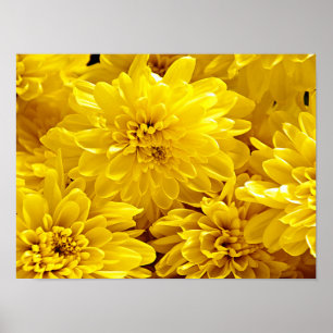 Poster Flores amarelas frescas Fechem