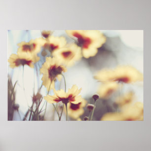 Poster Flores amarelas macias sonhadoras do Helenium