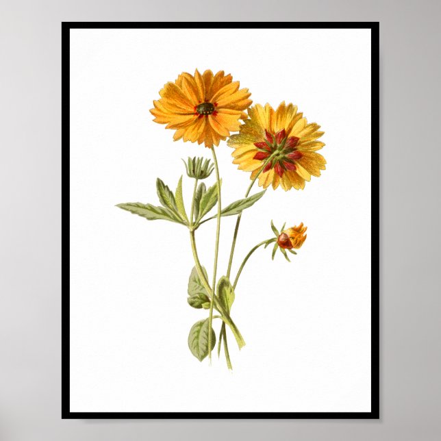Poster Flores Amarelas Simples Floral (Frente)