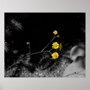 Poster Flores Amarelas sob uma árvore colorida 16x20