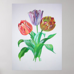 Pôster Flores Artísticas Coloridas Tulip Trio