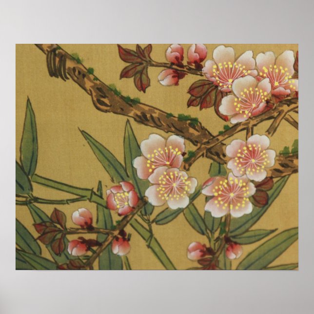 Pôster Flores Asiáticas Japonesas de Cerejeira Vintage (Frente)