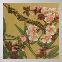 Flores Asiáticas Japonesas de Cerejeira Vintage