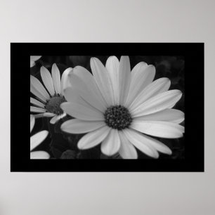Poster Flores B&W