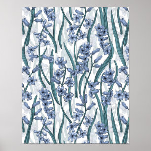 Poster Flores Blue Hyacinth em branco