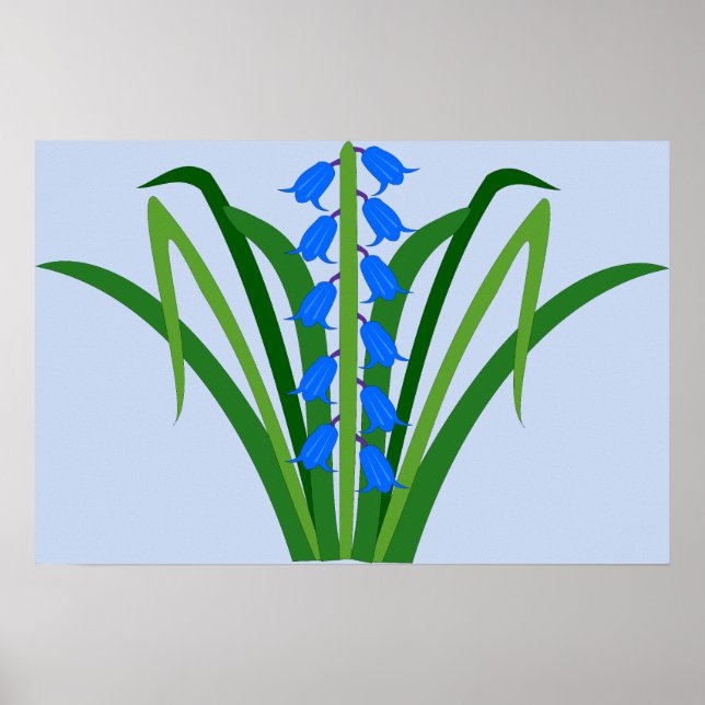 Poster Flores Bluebell Menino Bebê Primavera (Frente)
