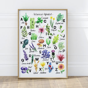 Poster Flores Botânicas Cutas Alphabet Baby Nursery