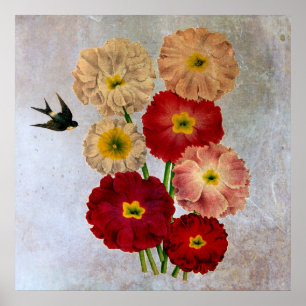 Pôster Flores Botânicas Vintage Engolir Pássaros Azul Rus