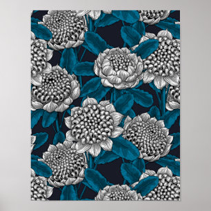 Poster Flores brancas de waratah